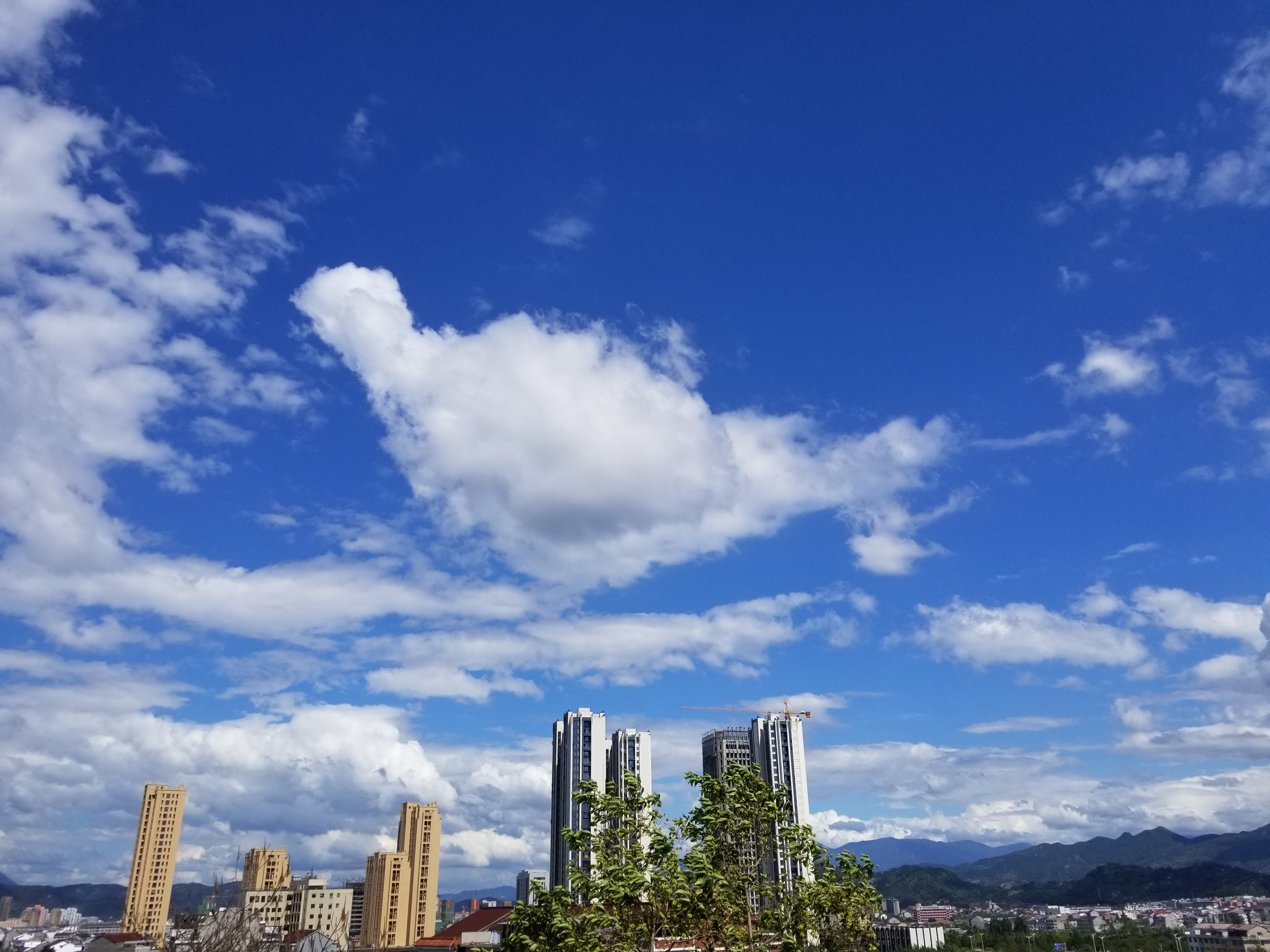 五部门：严格能效约束 推动重点领域节能降碳